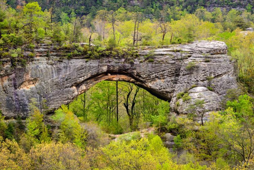 Big South Fork Trail Lodge Stearns 외부 사진